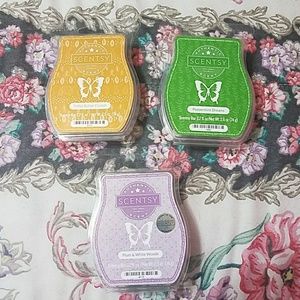 1 Brand New and 2 ( 1 cube used) Scentsy Bars
